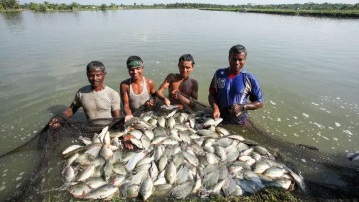 Authorities in Bihar’s Bagaha have warned residents not to consume unfamiliar fish that have entered flood-affected areas along with floodwaters flowing in