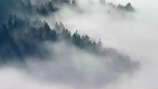 Nearly 80,000 people in Nevada have been warned of dangerous travel conditions on Wednesday morning, November 19, with freezing fog descending across the state