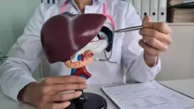 Despite its relatively low incidence, liver cancer remains a serious health concern in India, ranking as the 11th most common cancer overall