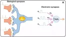 Researchers from the University of Cambridge have reported a new kind of brain-inspired nanodevice, a hafnium-oxide memristor, that could dramatically cut