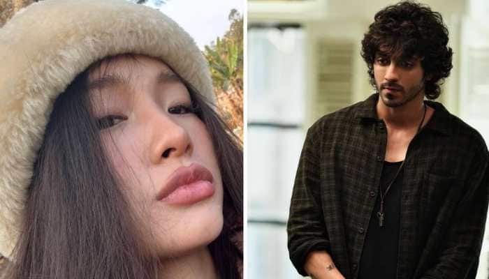 New Delhi: After the massive success of Ahaan Panday-starrer Saiyaara, curiosity surrounding the personal and dating lives of the stars has come into the spotlight. While Aneet's personal life remains a mystery, her co-star Ahaan has been grabbing headlines for his past link-ups.