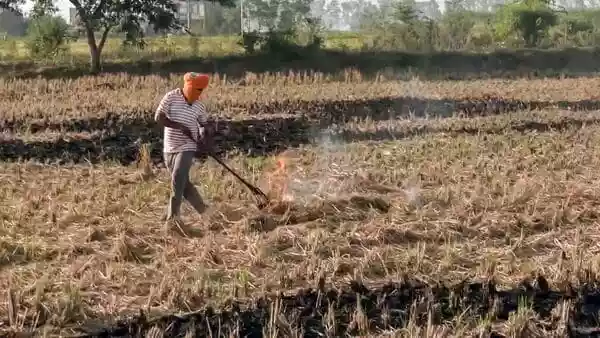 New Delhi: Farm fires, which are a big source of Delhi's foul air, declined significantly in four major agricultural states of Punjab, Haryana, Rajasthan and Madhya Pradesh due to extended monsoon showers and strict monitoring, helping the national capital breathe easier.New Delhi: Farm fires, which are a big source of Delhi's foul air, declined significantly in four major agricultural states of Punjab, Haryana, Rajasthan and Madhya Pradesh due to extended monsoon showers and strict monitoring, helping the national capital breathe easier.This marks a notable shift at the start of this year's stubble-burning season, significant because crop residue burning in these states is a major contributor to Delhi's severe air pollution and a recurring political flashpoint.According to the Indian Council of Agricultural Research (ICAR) findings using satellite remote sensing, stubble-burning cases declined nearly 65% year-on-year across these four states during the 15 September-5 October period this year.
