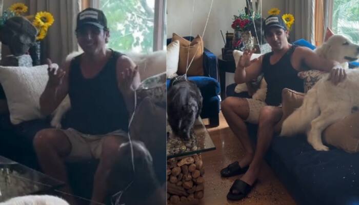 New Delhi: Zayed Khan kicked off his birthday celebrations with the most heartwarming surprise, thanks to his wife Malaika and their kids, Zidaan and Aariz. Joining the festivities were his two adorable fur babies. In a viral video capturing the special moment, the Main Hoon Na actor who was about to take an afternoon nap suddenly found himself surrounded by balloons, warm hugs, and cheerful wishes from his family, who orchestrated the sweetest impromptu celebration.