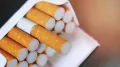 The government will introduce two bills in the Lok Sabha that are expected to replace the GST compensation cess currently levied on tobacco products such as