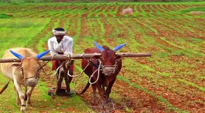 New seed bill likely to be introduced in second part of budget session