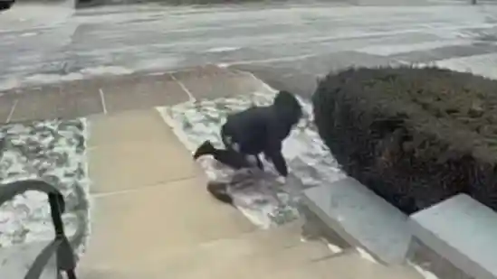 New York woman knocked off her feet by 70mph winds