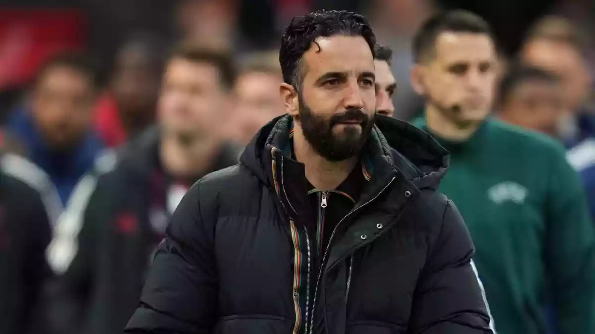 No Fear Of Losing My Job But