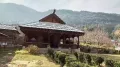 In an age dominated by televisions and mobile phones, a rare tradition has returned to the forefront in Manali, Himachal Pradesh. Nine villages in the region