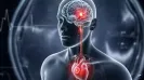 At 18, stroke was the last thing Rehan (name changed) expected. He had no history of heart disease, no chronic illness, and none of the usual risk factors