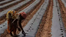 The Odisha Government recently issued guidelines for industrial houses to undertake “compensatory irrigation” in line with “compensatory afforestation”