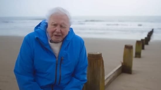 On World Oceans Day, broadcaster and biologist David Attenborough, is all set to come up with a documentary special. On World Oceans Day, broadcaster and biologist David Attenborough, is all set to come up with a documentary special. Ocean With David Attenborough will be out on June 8 on National Geographic and JioHotstar at 7 pm. 