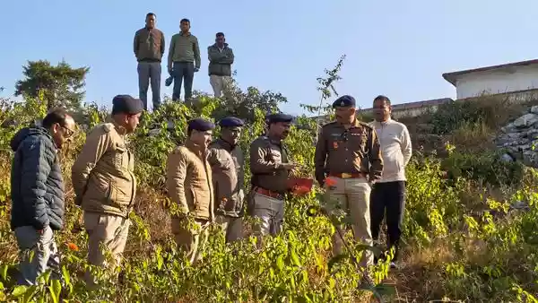 Over 160 gelatin sticks recovered near school in Almora