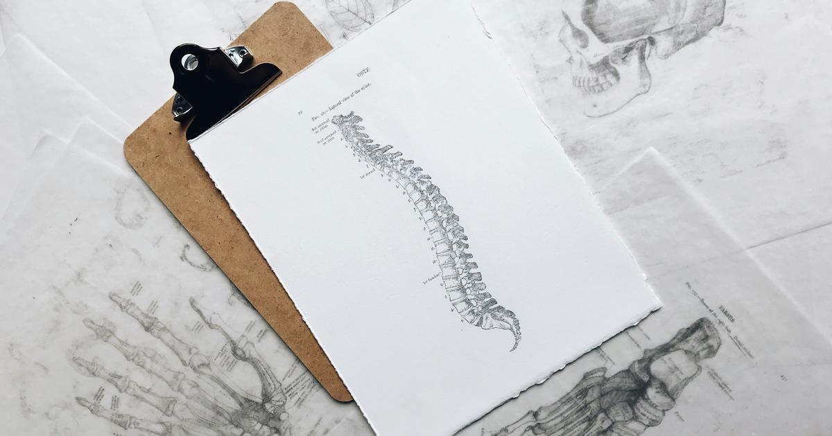 Over 60% of us will suffer from lower back pain at some point in our lives. Without question, it's the leading cause of disability across the globe. Your spine is comprised of 33 bones known as vertebrae, which are stacked one on top of the other. The resulting column is divided into five segments: cervical (in the neck), thoracic (at the same level as the chest), lumbar (at the level of the abdomen) and sacral (connecting with the pelvis). The fifth, the coccyx, is located at the very bottom of the spine (the tailbone) – and is very painful when injured.