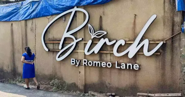 Gaurav Luthra and Saurabh Luthra, the co-owners of the Goa nightclub where a fire killed 25 people earlier this month, landed in Delhi on Tuesday after being