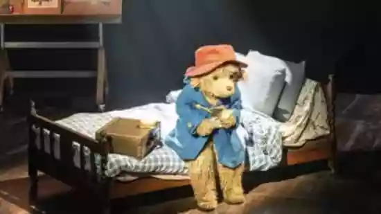 Paddington Bear's latest interaction with BBC News journalist, David Sillito, is melting hearts on the internet. Amid his successful debut in a West End