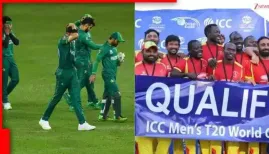 ICC may punish Pakistan over India match boycott. Here's why Uganda is the top contender to replace them in T20 World Cup 2026. If the International Cricket