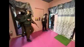 The interrogation of Irfan Ahmad Wagay of Shopian, a paramedic-turned-imam (cleric) of a mosque in Srinagar's Chanpora locality, following the recovery of