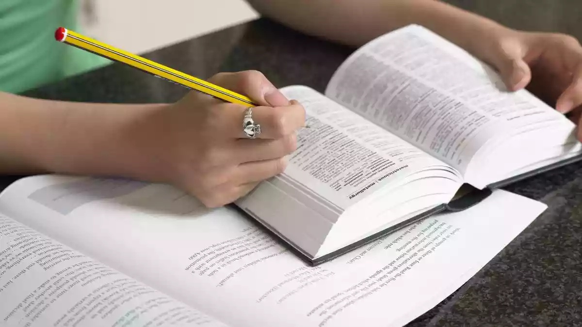 Parasocial is Cambridge dictionary’s Word of the Year 2025