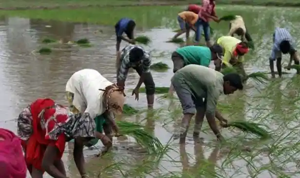 Parliamentary Panel Reviews MGNREGA