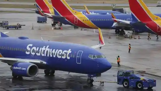 A flight from Los Angeles to St. Louis operated by Southwest Airlines on November 26 saw an unusual in-cabin “passenger”: a grey cat that slipped