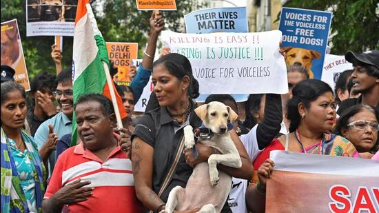 People came together to show their support for stray dogs in Chennai on Sunday in protest of the Supreme Court's order to remove stray dogs from public spaces in Delhi and NCR. Protestors carried placards with slogans, “Save our Indie Dogs”, “We are the Voice of the Voiceless”, “Killing is Not a Solution. Some even brought their adopted stray dogs to the streets of the city. The protests were headlined with a hashtag: SaveDelhiDogs2025.