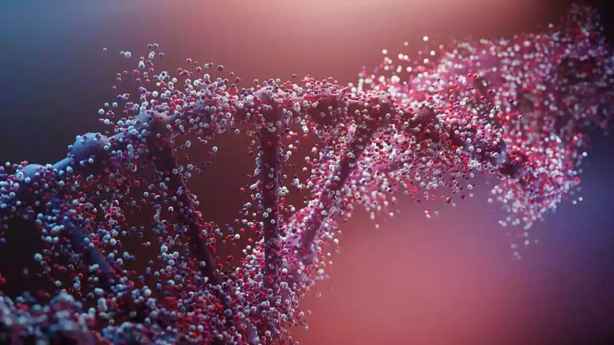 Inherited peripheral neuropathies (IPN) are cruel genetic diseases that affect around 1 in 2,500 individuals. A person affected by IPN develops high foot