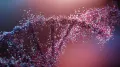 Inherited peripheral neuropathies (IPN) are cruel genetic diseases that affect around 1 in 2,500 individuals. A person affected by IPN develops high foot