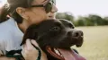 Summer fun is great, but rising temperatures can quickly become a serious problem for pets. Unlike humans, pets cannot sweat efficiently and are therefore much