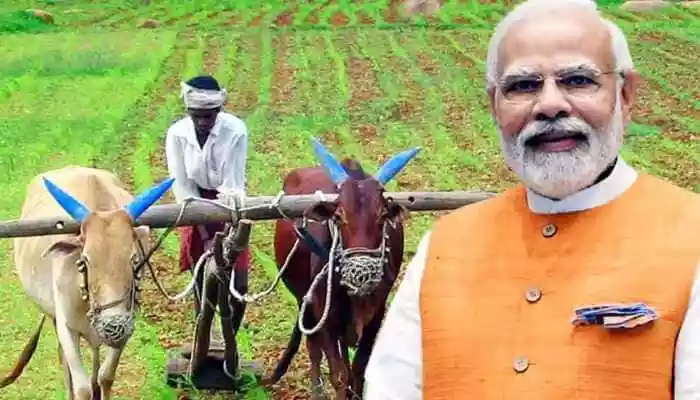 Under the PM Kisan scheme, eligible farmers receive Rs 2,000 every four months, totalling Rs 6,000 a year. The amount is released in three installments: