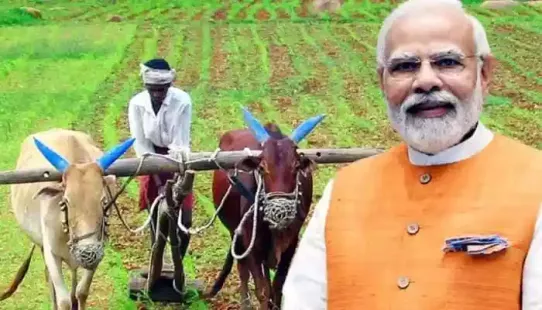 Under the PM Kisan scheme, eligible farmers receive Rs 2,000 every four months, totalling Rs 6,000 a year. The amount is released in three installments: