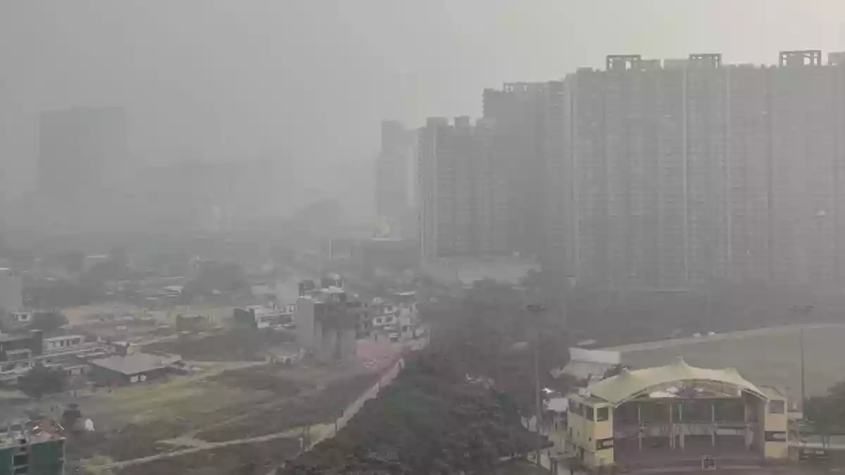 Pollution, South India Wins For For Non-Veg Food