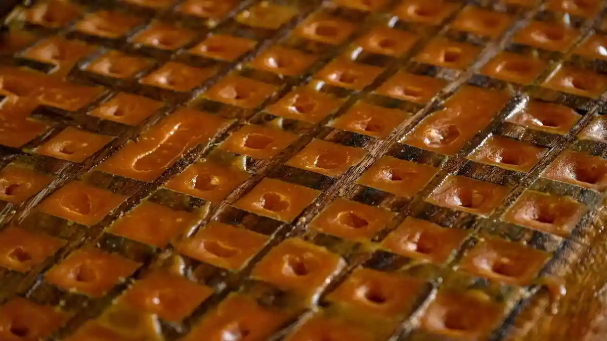 Pongal, jaggery and a vanishing tradition in Tamil Nadu