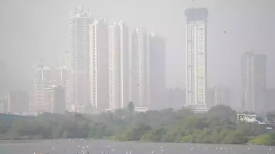 In a significant real estate move that has set the industry abuzz, a prominent Bollywood family has collectively invested nearly Rs 27 crore in a cluster of