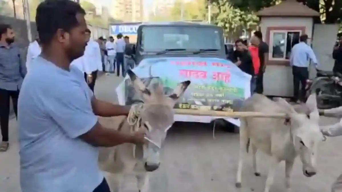 Pune Man Protests Using Donkeys To Pull Faulty Thar To Showroom