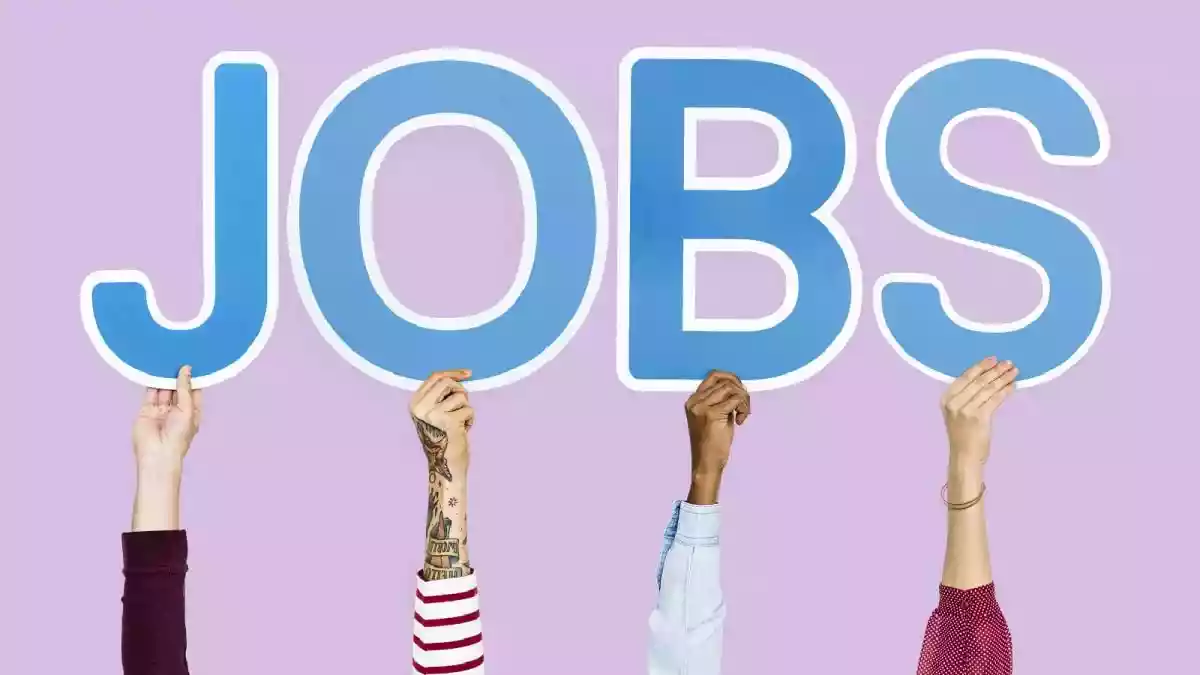 The Directorate of Social Security and Women & Child Development (SSWCD), Punjab, has opened the application process for 6,110 Anganwadi vacancies across the