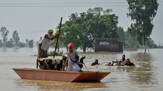 Punjab is struggling with floods again, and a ghost from 1988 is walking, again, among its people as they struggle to save their fields and homes from angry rivers amid heavy monsoon rain. Thousands of acres of farmland with paddy (rice) mostly, besides hundreds of houses, across villages along the Sutlej, Beas and Ravi rivers are submerged or marooned.