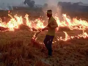 The Commission for Air Quality Management (CAQM) noted a marginal decrease in Punjab's stubble burning incidents between September 15 and November 6, 2025