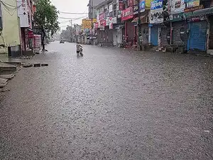 Punjab schools will be closed from August 27-30 due to heavy rain forecasts and flooding. The Sutlej, Beas, and Ravi rivers are overflowing, impacting villages and farmland. Surplus water released from dams is worsening the situation, prompting the government to assess damages to crops and infrastructure, with more rain expected.