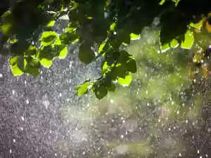 Rains lash parts of Rajasthan