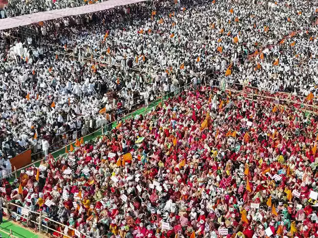 Rajasthan assures no illegal Khejri felling