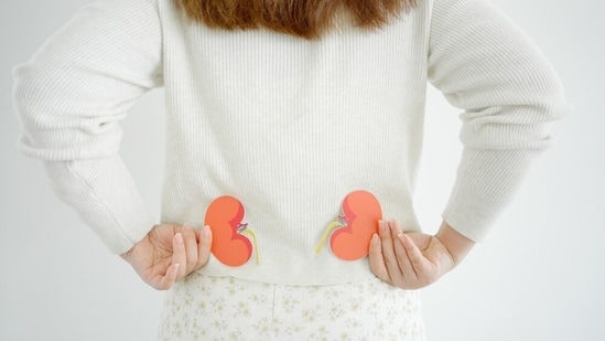 Renal hypertension is the condition when kidney diseases result in elevated blood pressure. In an interview with HT Lifestyle, Dr. Bhanu Mishra, consultant nephrologist, BLK Max Hospital, New Delhi said, “It's a serious condition that can lead to heart disease and further kidney damage. Early treatment is essential to prevent complications.” <strong>Also read | </strong><strong>World Hypertension Day 2025: Doctor shares 7 lifestyle tips to manage high blood pressure</strong>