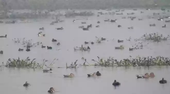 Republic Day getaway