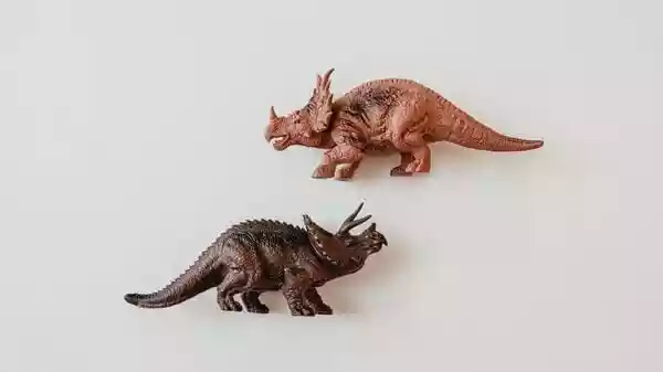 A researcher with the Natural History and Conservation Centre said that they have unearthed a dinosaur fossil, believed to be of the three-horned Triceratops