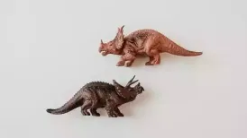 A researcher with the Natural History and Conservation Centre said that they have unearthed a dinosaur fossil, believed to be of the three-horned Triceratops