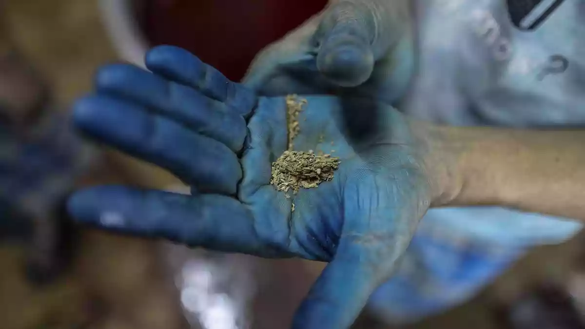 Researchers identify key genetic factors causing oral cancer early among Indian tobacco chewers