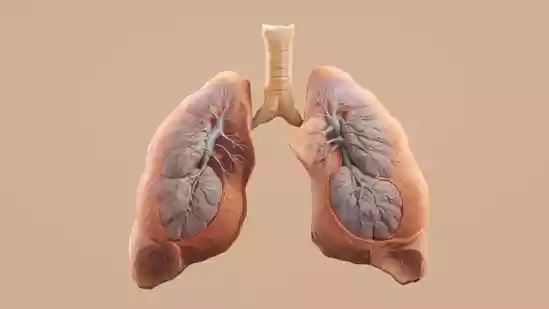 Researchers unveil breakthrough blood test to detect