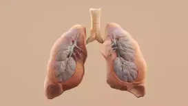 A team of researchers in the United Kingdom has achieved a major breakthrough by discovering a technique for the discovery and real-time tracking of lung