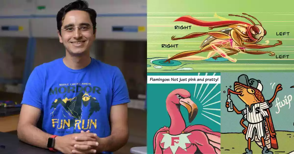 Rigorous science in playful comics