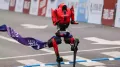 Dozens ​of Chinese-made humanoid robots showed off their fast-improving athleticism and autonomous navigation skills as they whizzed past human runners in a