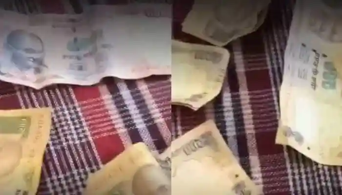 In the video, the woman's daughter could be heard as she recorded the moment her mother was crying innocently. According to the viral clip